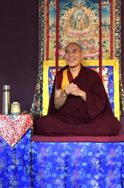 Chamtrul Rinpoche, Amsterdam