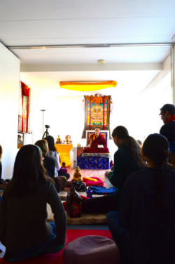 Chamtrul Rinpoche, Amsterdam