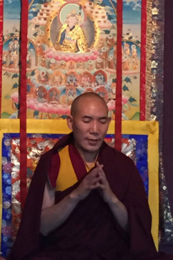 Chamtrul Rinpoche, Amsterdam